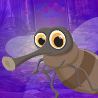 play Bizarre Insect Escape