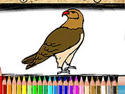 play Back To School Eagle Coloring Book