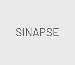 play Sinapse
