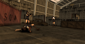 play Hoshi