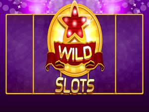 play Wild Slot