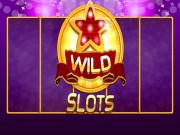 play Wild Slot