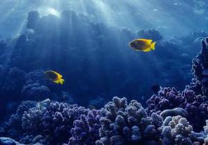 play Underwater Fun Escape