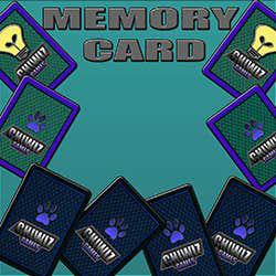 play Memory Card