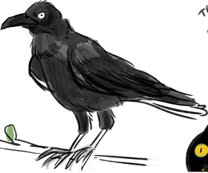 play Noppy'S Mysterious Crow