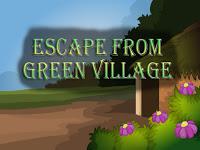 Top10 Escape From Green Village