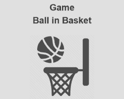 play Ball In Basket