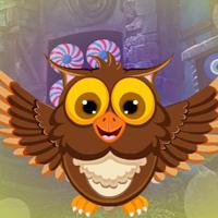 play Joyous Owl Escape