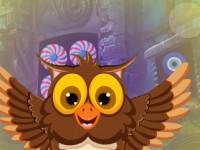 Joyous Owl Escape