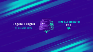 Rcs-Real Car Simulator