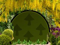 play Fuzzy Parrot Garden Escape