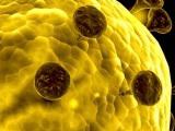 play Coronavirus Slide