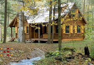 play Rustic Contemporary House