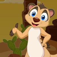 Desert Mongoose Escape