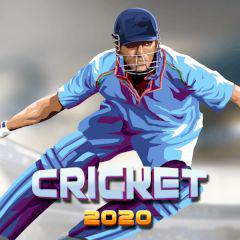 play Cricket 2020