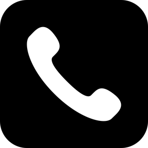 play A Phone Call