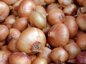 play Art Of Onions