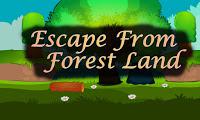 Top10 Escape From Forest Land
