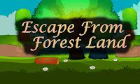 play Top10 Escape From Forest Land