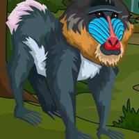 play G4E Ancient Mandrill Escape