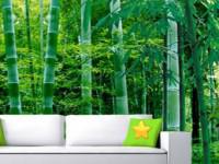 play Bamboo Forest House Escape