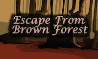 play Top10 Escape From Brown Forest
