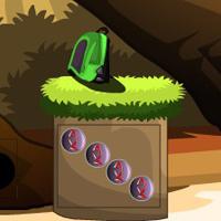 play Top10 Escape From Brown Forest