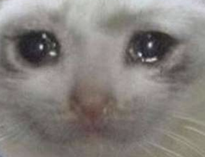 play Catherinequest (Fp2)