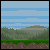 play Modian Life Beta 1.3