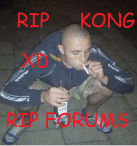 Rip Kong Rip Forums