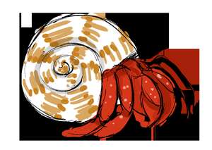 play Shell, Sweet Shell