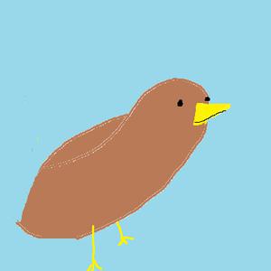 play Save The Kiwi