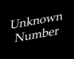 play Unknown Number (Twine)
