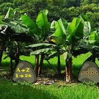 play Escape From Banana Garden