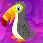 play Pretty Hornbill Escape