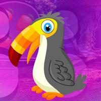 play Pretty Hornbill Escape