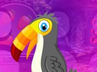play Pretty Hornbill Escape