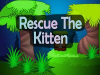Top10 Rescue The Kitten