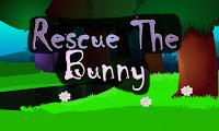 play Top10 Rescue The Bunny