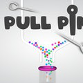 Pull Pin