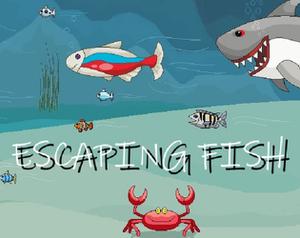 play Escaping Fish