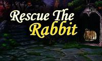 play Top10 Rescue The Rabbit