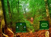play Soil Polluted Forest Escape