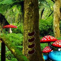play Jungle Forest 4