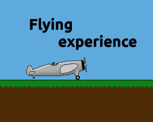 play Flying Experience