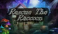 play Top10 Rescue The Raccoon