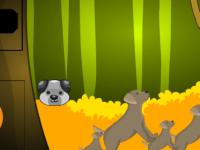 play G2M Find The Gold Coins