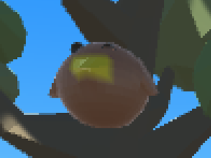 play Save The Kiwi Update