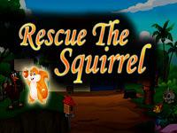play Top10 Rescue The Squirrel