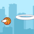 play City Dunk